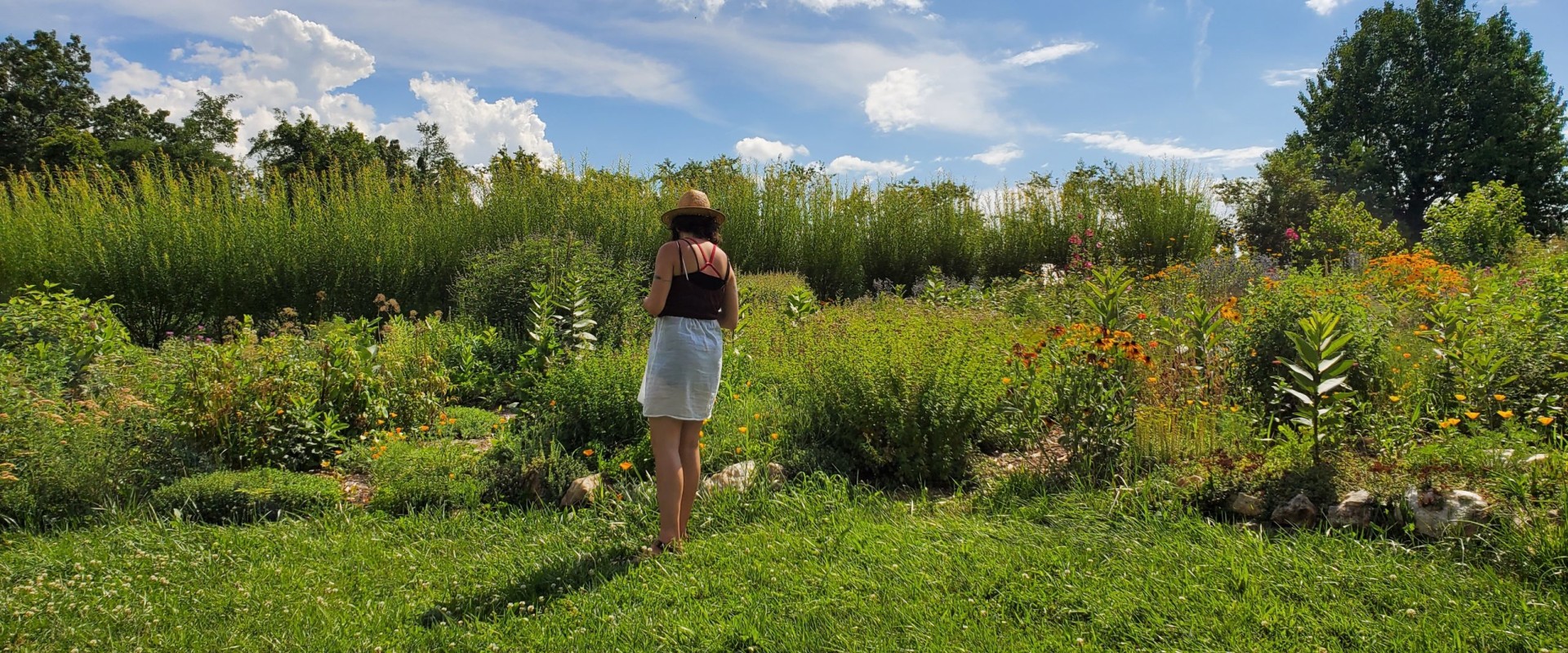 The Fascinating World of Farms