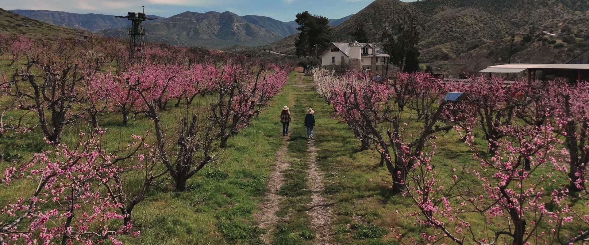 The Benefits Of Farm Fresh Produce From Positive Impact Farming Practices By Dr. Bill Releford