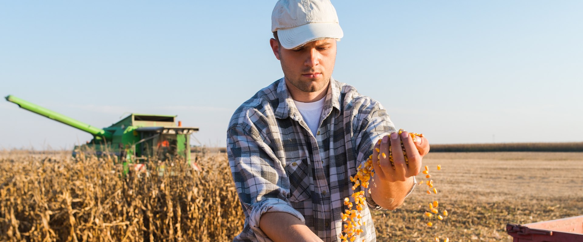 The Life of a Farmer: Insights from an Agricultural Expert