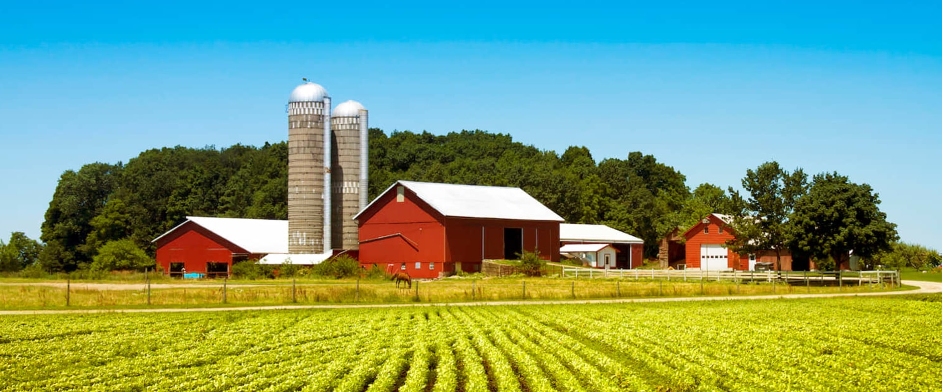 The Vital Role of Midsized Farms in the United States