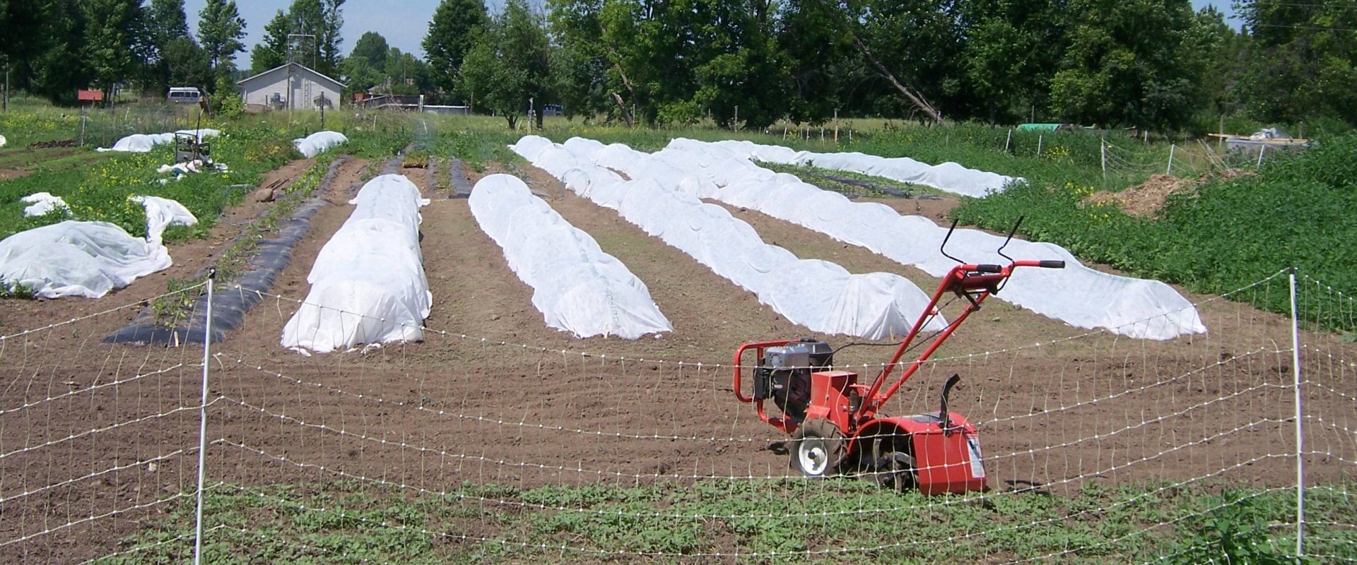 Maximizing Profit on a 5 Acre Farm: An Expert's Guide