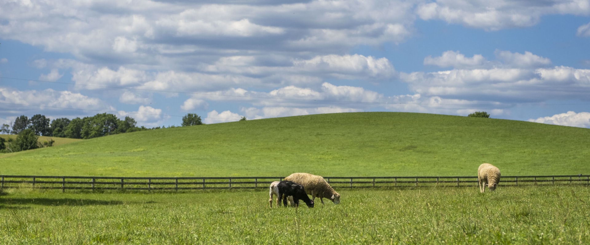 The Complexities of Defining and Classifying Farms