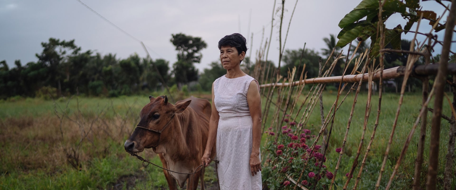 The Vital Role of Small Farms in Agriculture