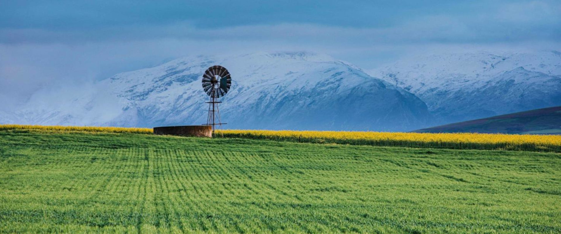 Farms vs Ranches: Understanding the Differences