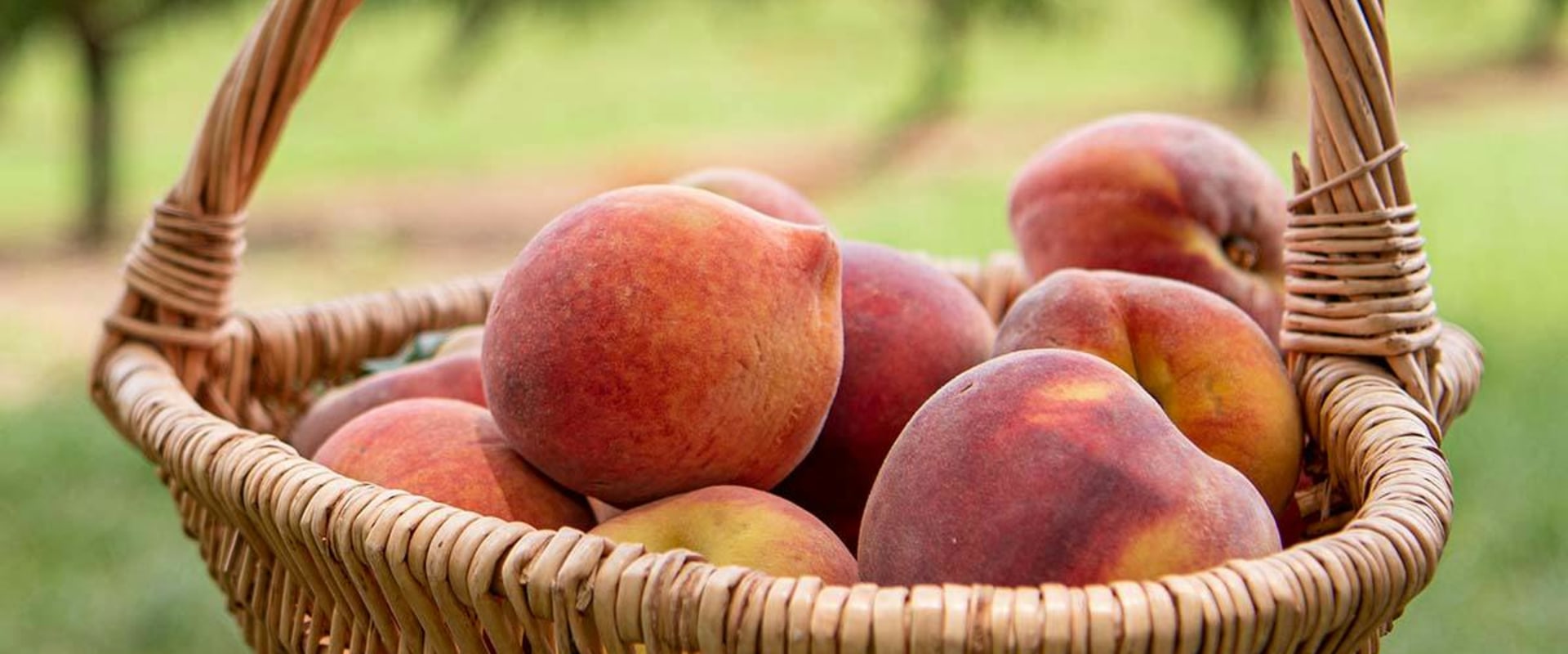 Experience Farm Freshness With Organic Freestone Peaches Fruit Subscription Delivery Plan