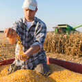 The Importance of Prioritizing Profitability for Farmers