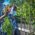 Experience Farm Fresh Produce At The Largest Black-Owned Organic Farm Ranch Near Los Angeles CA