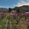 The Benefits Of Farm Fresh Produce From Positive Impact Farming Practices By Dr. Bill Releford