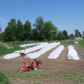 Maximizing Profit on a 5 Acre Farm: An Expert's Guide