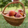 Experience Farm Freshness With Organic Freestone Peaches Fruit Subscription Delivery Plan