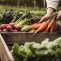 Explore Organic Farming Examples With Farm Fresh Results