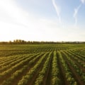 The Complex World of Farming: Understanding the Different Types of Farms