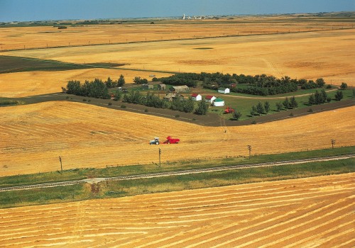 The Changing Face of Farming: From Medieval Times to Modern Agriculture