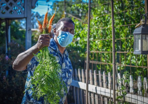 Experience Farm Fresh Produce At The Largest Black-Owned Organic Farm Ranch Near Los Angeles CA