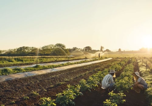 The Evolution of the Definition of a Farm: An Expert's Perspective