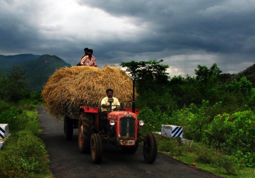 The Impact of Farm Size on Agricultural Success