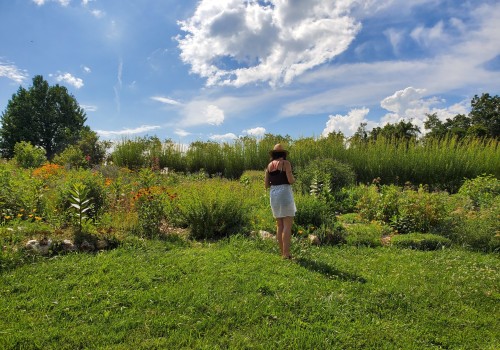 The Fascinating World of Farms