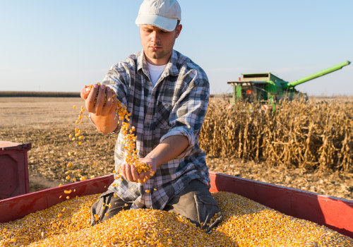 The Life of a Farmer: Insights from an Agricultural Expert