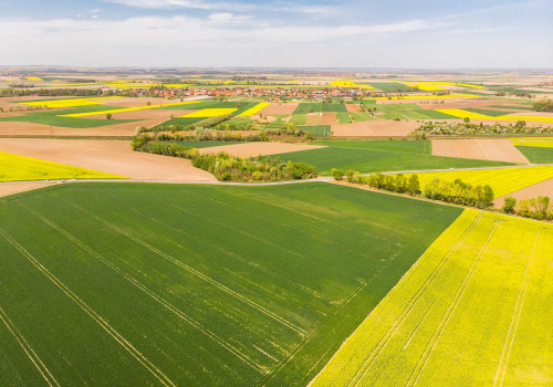 The Fascinating World of Farms: An Expert's Perspective