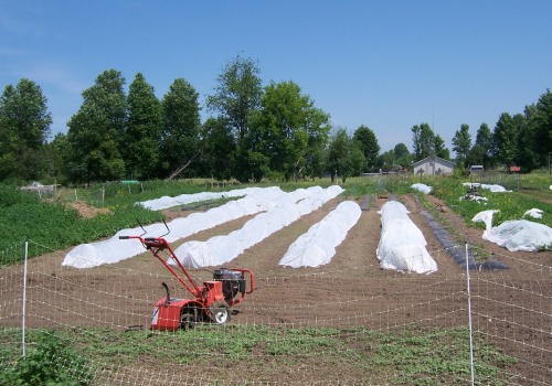 Maximizing Profit on a 5 Acre Farm: An Expert's Guide