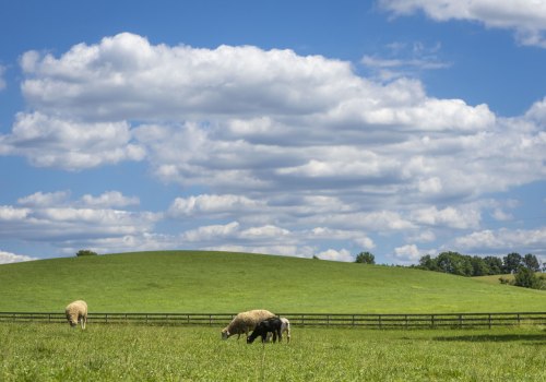 The Complexities of Defining and Classifying Farms