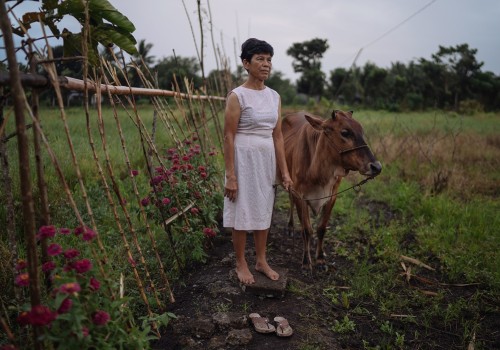 The Vital Role of Small Farms in Agriculture