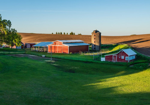 The Evolution of Farming: From Domestication to Industrialization