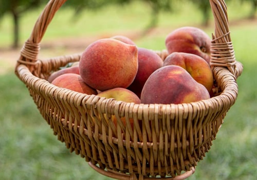 Experience Farm Freshness With Organic Freestone Peaches Fruit Subscription Delivery Plan