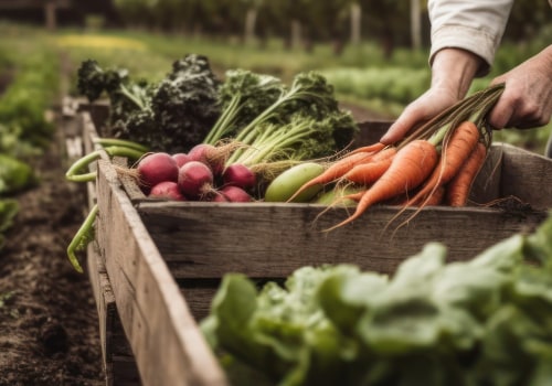 Explore Organic Farming Examples With Farm Fresh Results