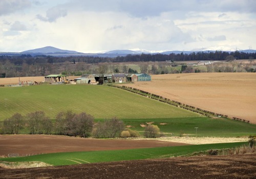 The Distinction Between Farm and Facility: Understanding the Definition of a Farm