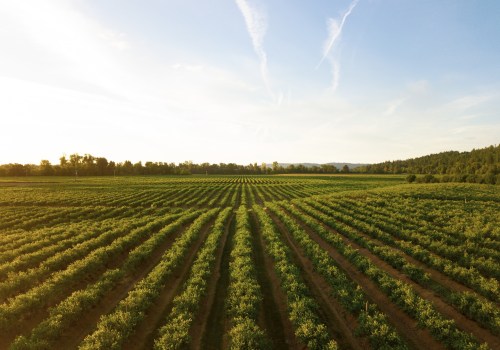 The Complex World of Farming: Understanding the Different Types of Farms