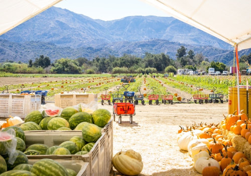 Uncover The Best Farm-To-Table Experiences In Acton Near Los Angeles for Farm Fresh Produce